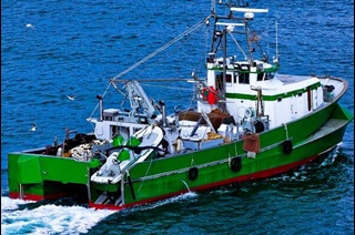Green fishing boat sailing in the sea