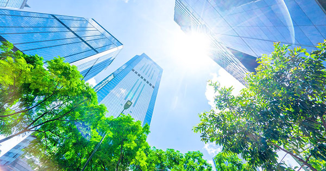 Frog's eye view of skyscrapers and trees on a sunny day